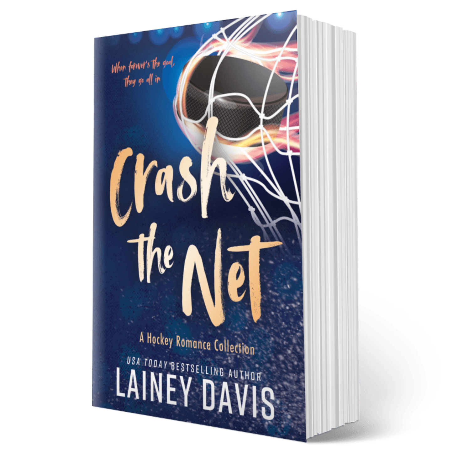 Crash the Net Hockey Romance Collection