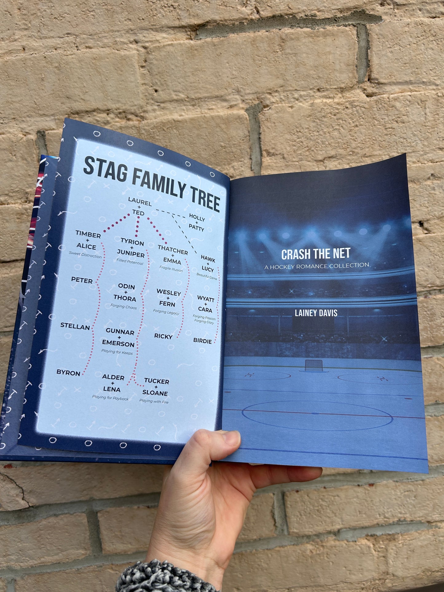 Crash the Net Hockey Romance Collection