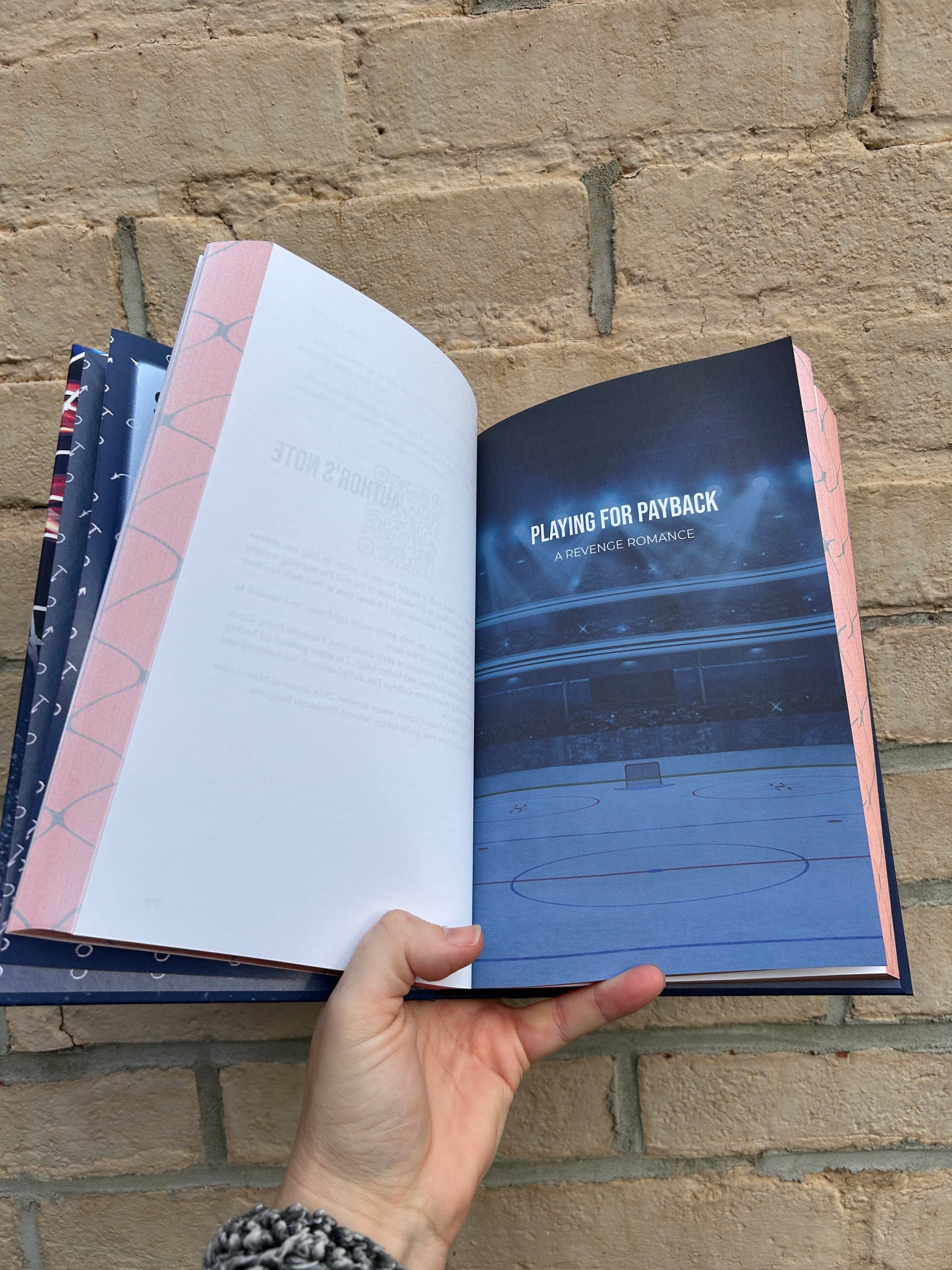 Crash the Net Hockey Romance Collection