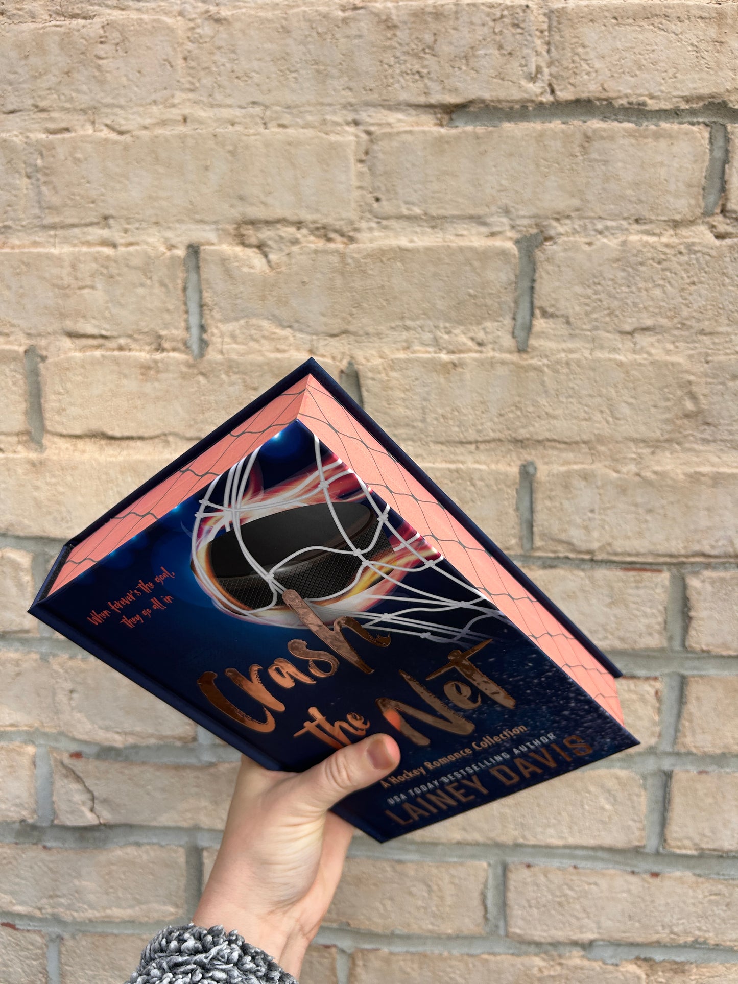 Crash the Net Hockey Romance Collection