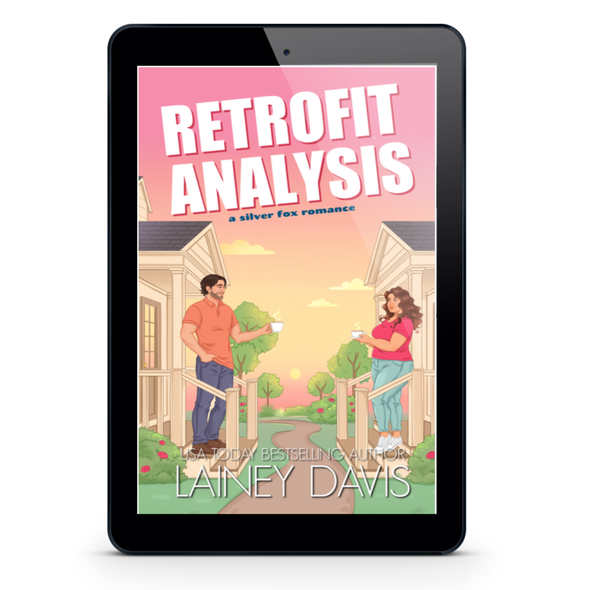 Retrofit Analysis: A Silver Fox Romance eBook